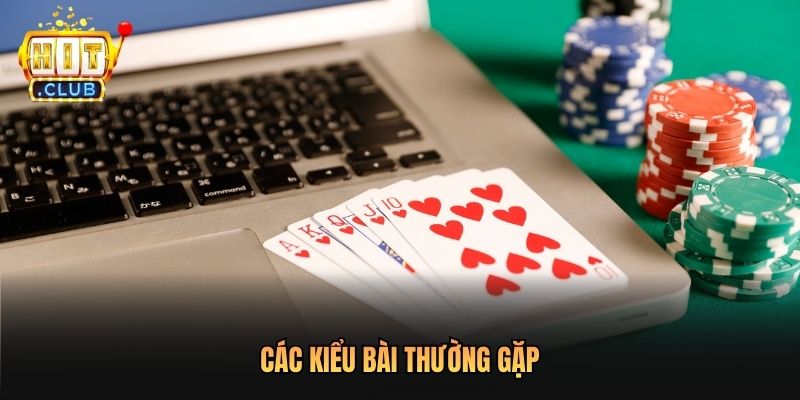 Các kiểu bài thường gặp