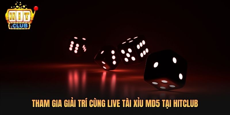 Tham gia giải trí cùng Live Tài xỉu MD5 Tại Hitclub