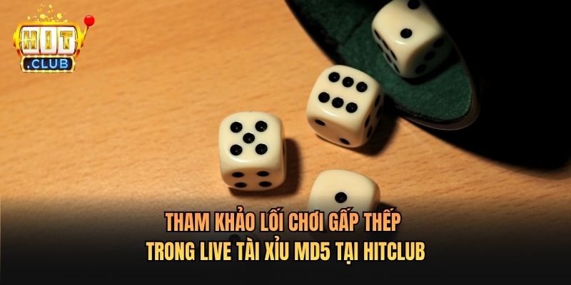Tham khảo lối chơi gấp thếp trong Live Tài xỉu MD5 Tại Hitclub