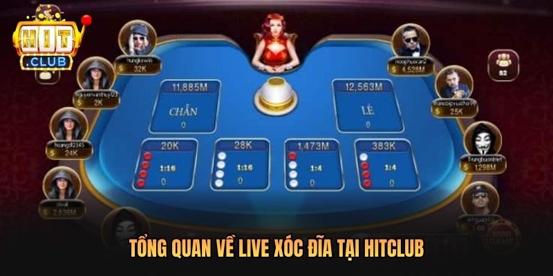 Tổng quan về Live Xóc Đĩa tại Hitclub